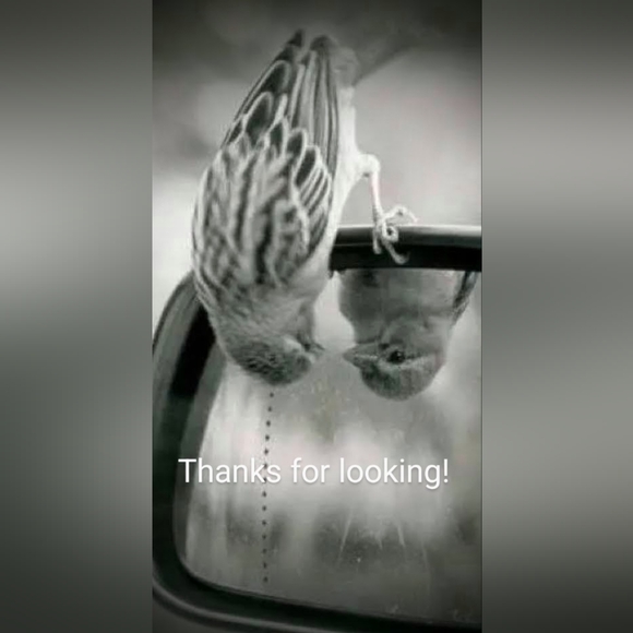 Johnny Was Workshop Purple Curacao Oversized Blouse Size Medium NWT - Picture 15 of 15